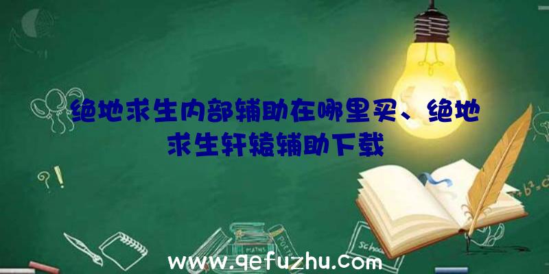 绝地求生内部辅助在哪里买、绝地求生轩辕辅助下载