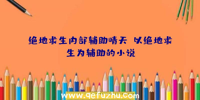 绝地求生内部辅助晴天、以绝地求生为辅助的小说