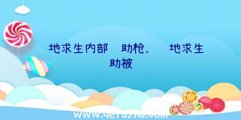 绝地求生内部辅助枪、绝地求生辅助被骗