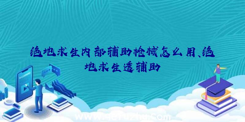 绝地求生内部辅助枪械怎么用、绝地求生透辅助