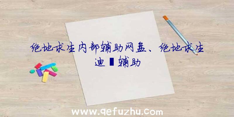 绝地求生内部辅助网盘、绝地求生迪迦辅助