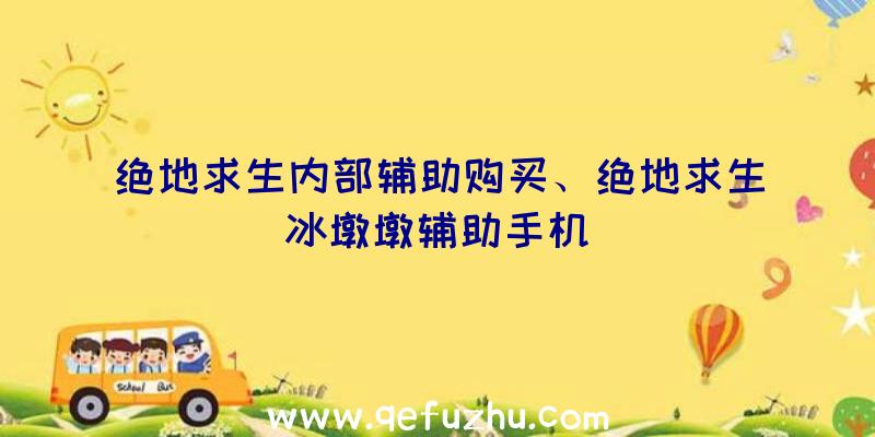 绝地求生内部辅助购买、绝地求生冰墩墩辅助手机