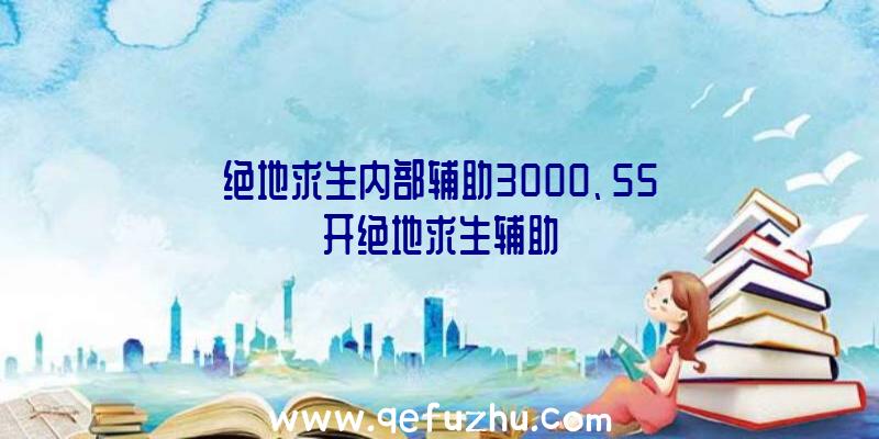 绝地求生内部辅助3000、55开绝地求生辅助