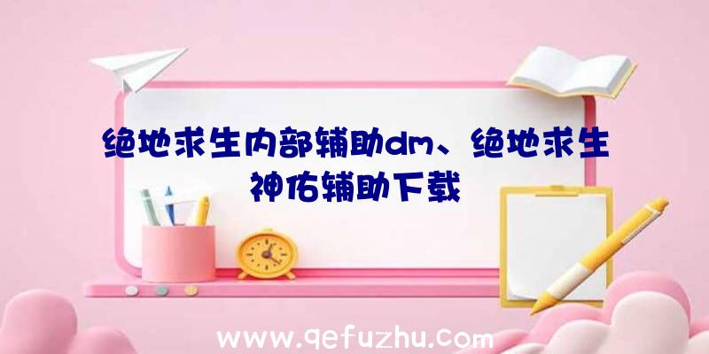 绝地求生内部辅助dm、绝地求生神佑辅助下载