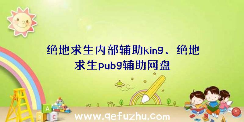 绝地求生内部辅助king、绝地求生pubg辅助网盘