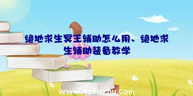 绝地求生冥王辅助怎么用、绝地求生辅助装备教学