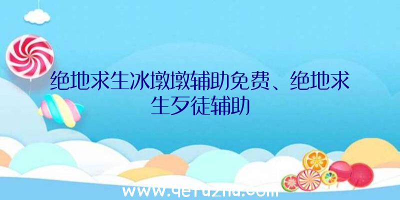 绝地求生冰墩墩辅助免费、绝地求生歹徒辅助