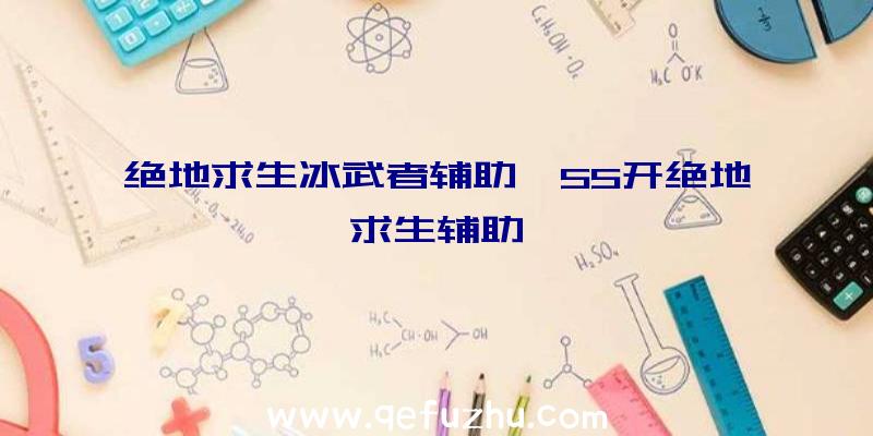 绝地求生冰武者辅助、55开绝地求生辅助