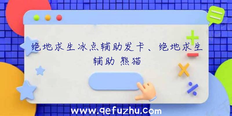 绝地求生冰点辅助发卡、绝地求生辅助