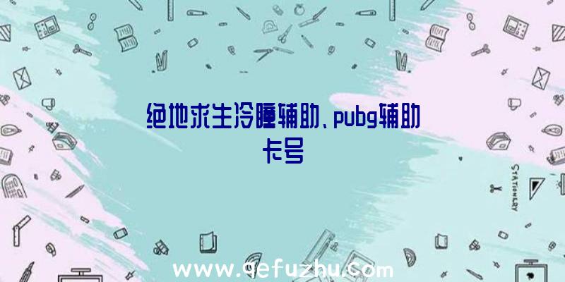 绝地求生冷瞳辅助、pubg辅助卡号