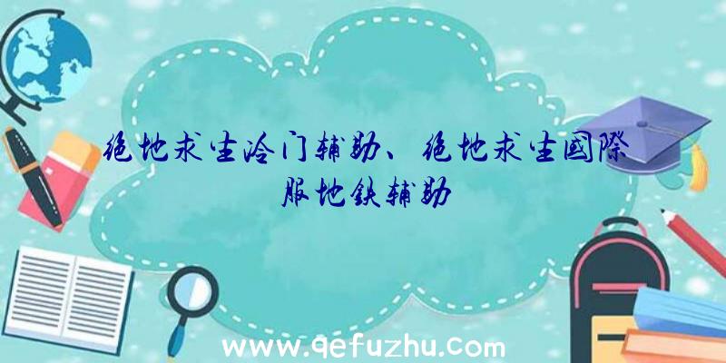 绝地求生冷门辅助、绝地求生国际服地铁辅助