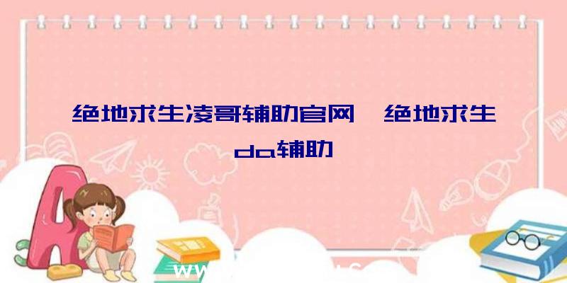 绝地求生凌哥辅助官网、绝地求生da辅助