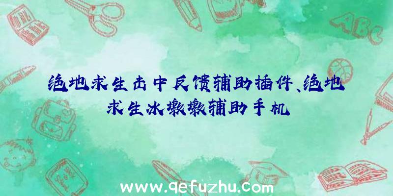 绝地求生击中反馈辅助插件、绝地求生冰墩墩辅助手机