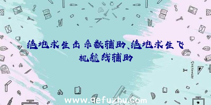 绝地求生击杀数辅助、绝地求生飞机航线辅助