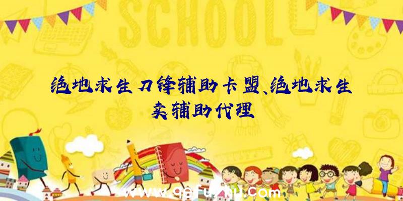 绝地求生刀锋辅助卡盟、绝地求生卖辅助代理