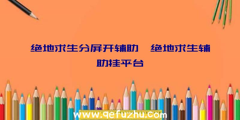 绝地求生分屏开辅助、绝地求生辅助挂平台