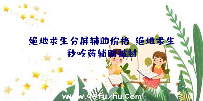 绝地求生分屏辅助价格、绝地求生秒吃药辅助被封