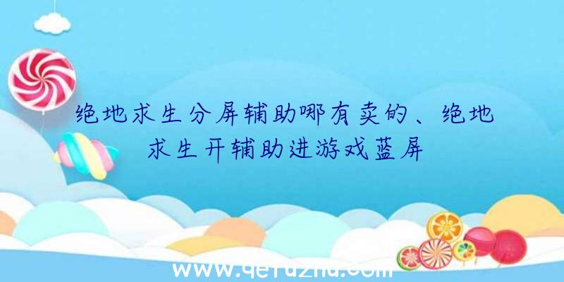 绝地求生分屏辅助哪有卖的、绝地求生开辅助进游戏蓝屏