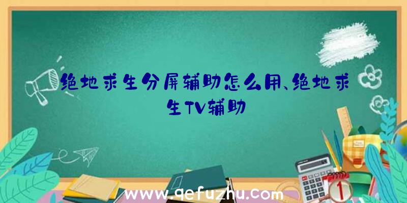 绝地求生分屏辅助怎么用、绝地求生TV辅助