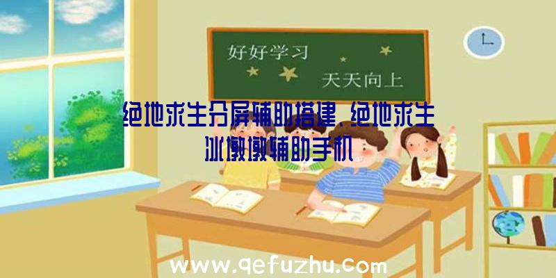 绝地求生分屏辅助搭建、绝地求生冰墩墩辅助手机