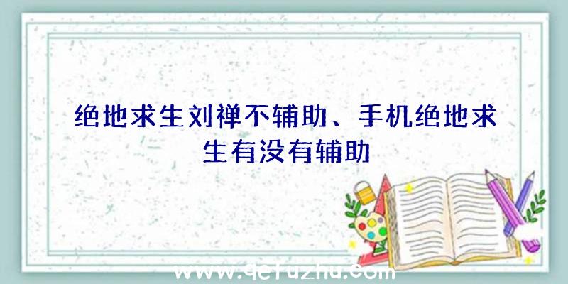 绝地求生刘禅不辅助、手机绝地求生有没有辅助