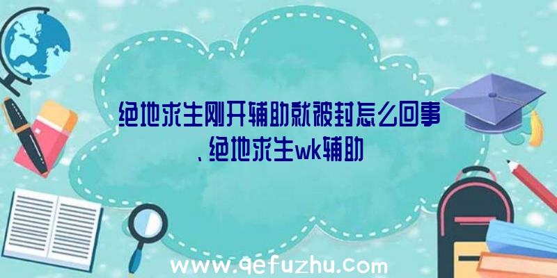 绝地求生刚开辅助就被封怎么回事、绝地求生wk辅助