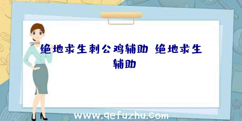 绝地求生刺公鸡辅助、绝地求生da辅助