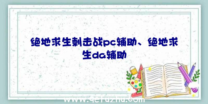 绝地求生刺击战pc辅助、绝地求生da辅助