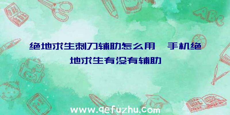 绝地求生刺刀辅助怎么用、手机绝地求生有没有辅助