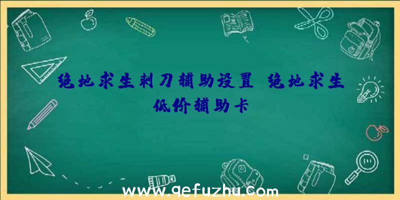 绝地求生刺刀辅助设置、绝地求生低价辅助卡