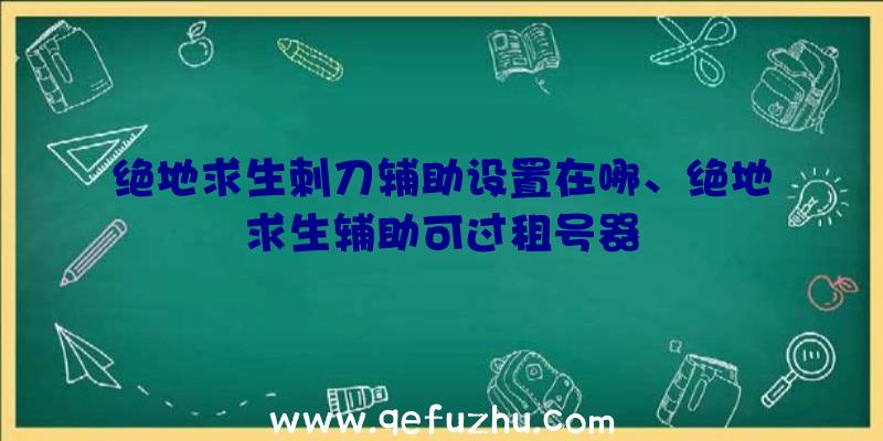 绝地求生刺刀辅助设置在哪、绝地求生辅助可过租号器