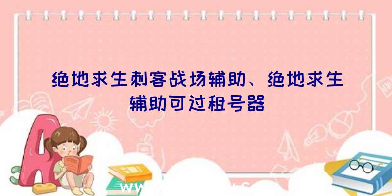 绝地求生刺客战场辅助、绝地求生辅助可过租号器