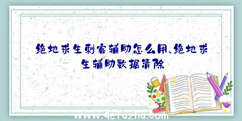 绝地求生刺客辅助怎么用、绝地求生辅助数据清除