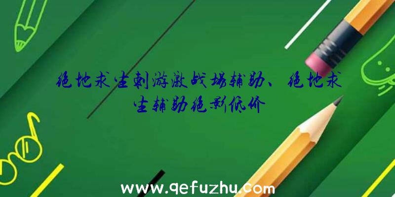 绝地求生刺游激战场辅助、绝地求生辅助绝影低价