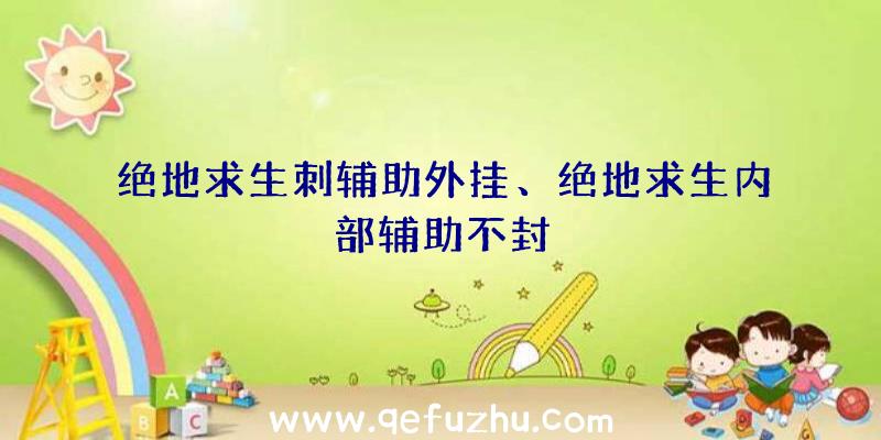 绝地求生刺辅助外挂、绝地求生内部辅助不封