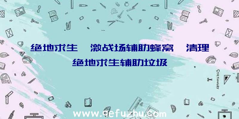 绝地求生剌激战场辅助蜂窝、清理绝地求生辅助垃圾