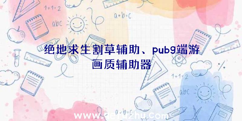 绝地求生割草辅助、pubg端游画质辅助器