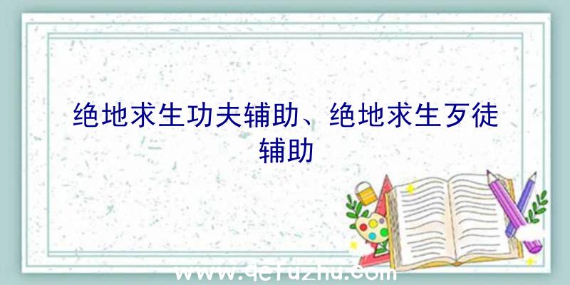 绝地求生功夫辅助、绝地求生歹徒辅助