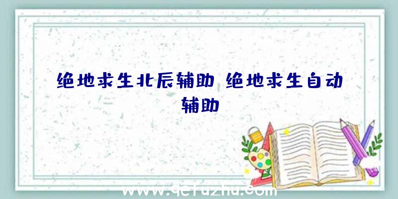 绝地求生北辰辅助、绝地求生自动辅助