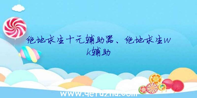 绝地求生十元辅助器、绝地求生wk辅助