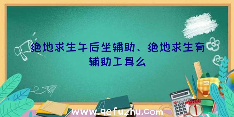 绝地求生午后坐辅助、绝地求生有辅助工具么