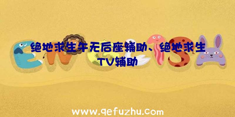 绝地求生午无后座辅助、绝地求生TV辅助