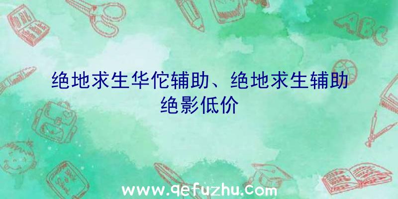 绝地求生华佗辅助、绝地求生辅助绝影低价