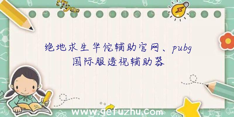 绝地求生华佗辅助官网、pubg国际服透视辅助器