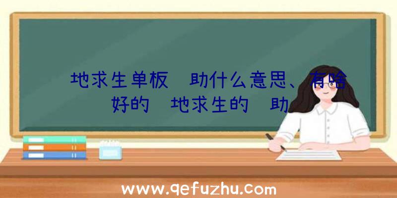 绝地求生单板辅助什么意思、有啥好的绝地求生的辅助