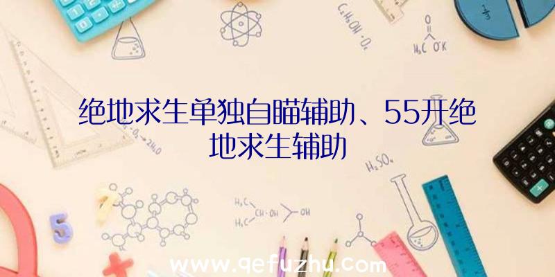 绝地求生单独自瞄辅助、55开绝地求生辅助