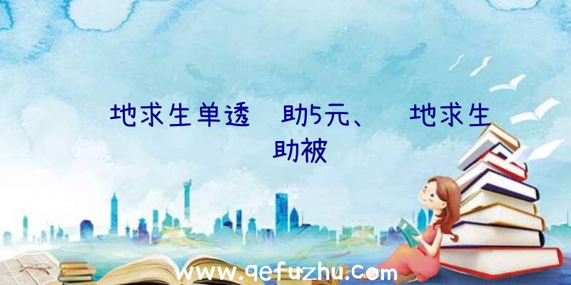 绝地求生单透辅助5元、绝地求生辅助被骗