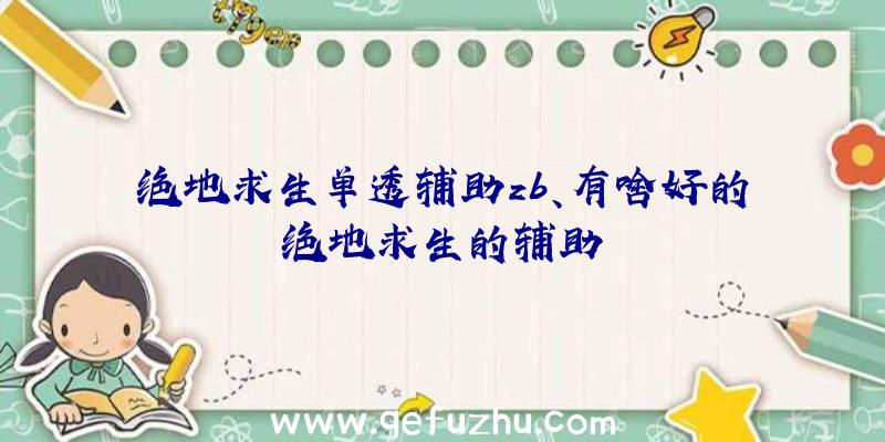 绝地求生单透辅助zb、有啥好的绝地求生的辅助