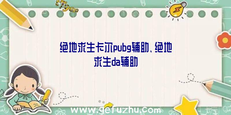 绝地求生卡尔pubg辅助、绝地求生da辅助