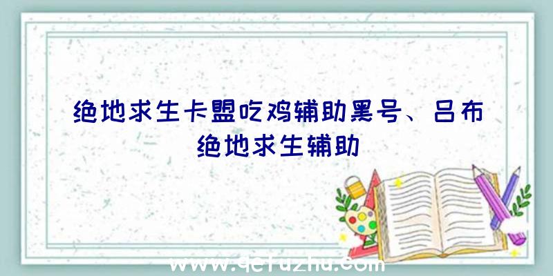 绝地求生卡盟吃鸡辅助黑号、吕布绝地求生辅助